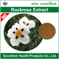 Cistus creticus extract Cistus ladanifer